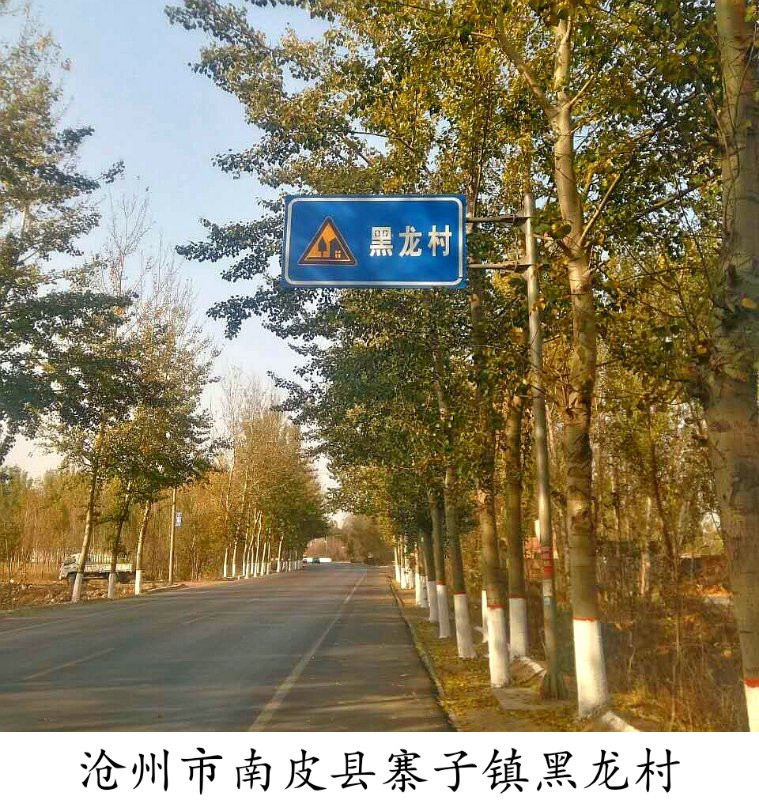 南皮县寨子镇黑龙村